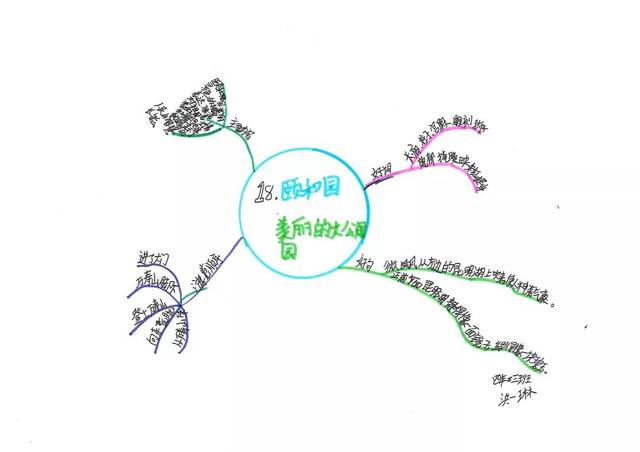 自然风 思维导图让阅读更愉快