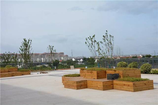 学校利用竖向分区,屋顶花园, 生态坡地等空间创造, 打造一种全新的图片