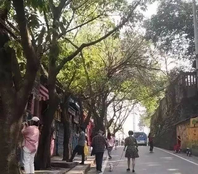 最终达到300米见绿 500米见园的效果 未来在沙坪坝社区公园 将改善