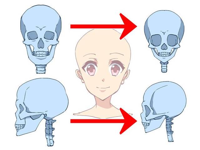 怎么画动漫人物头部结构动漫人物头部各个部位的画法