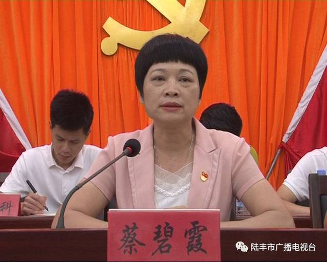 市政协副主席,潭西镇党委书记蔡碧霞要求全镇各地各部门要切实提高