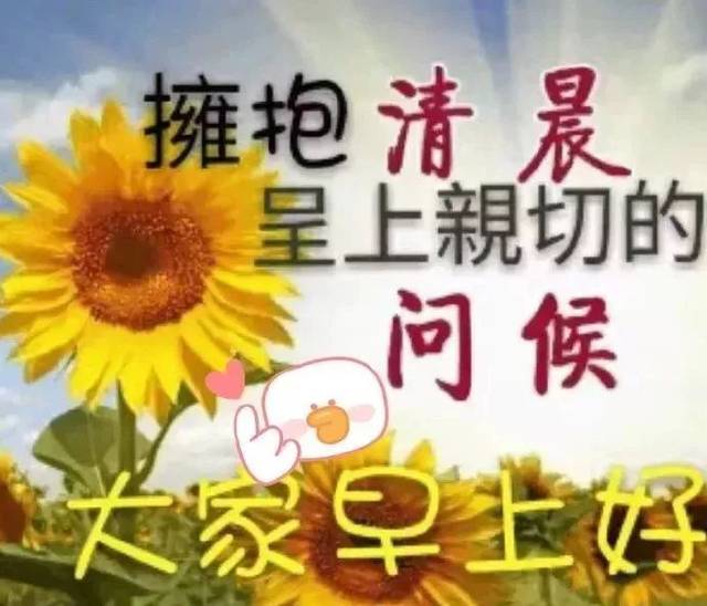 八月十五日问候早上好图片带字动态表情 早上好