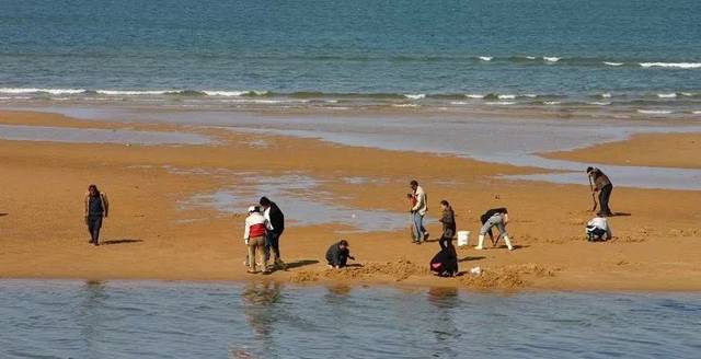 刮什么风不适合赶海 07368b2524174cddb2e8768c9b67e0b7.jpeg