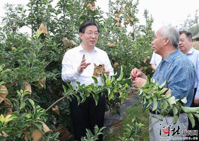 "走出会场,邢台市宁晋县黄儿营西村党委书记宁小五表示,能够耐下心来