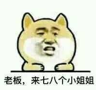 老板,来七八个小姐姐