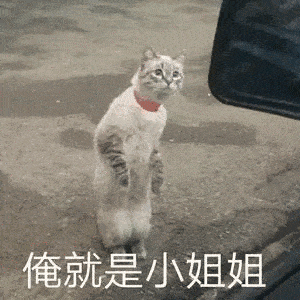 关于小姐姐的斗图表情包合集|小姐姐我爱你们