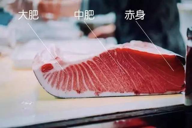 吃过金枪鱼的应该都知道"金枪鱼三兄弟": 大腹,中腹和赤身.