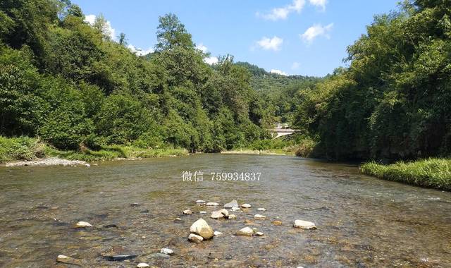 重庆夏天玩水的地方 南川庆元镇让你流连忘返