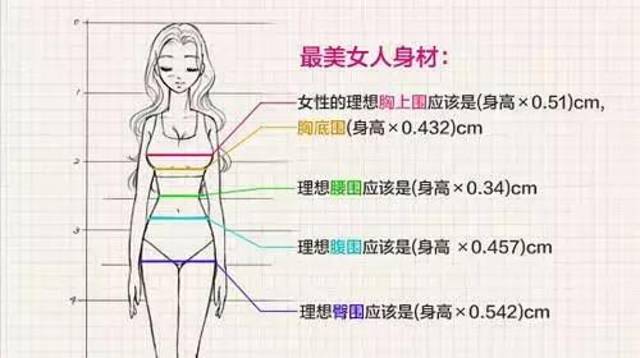 以165cm的女生为例,按照图中公式,理想上胸围约为84,下胸围约为72.