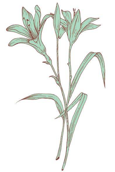 大师名作《穿墙记》,原来这样讲故事最动听