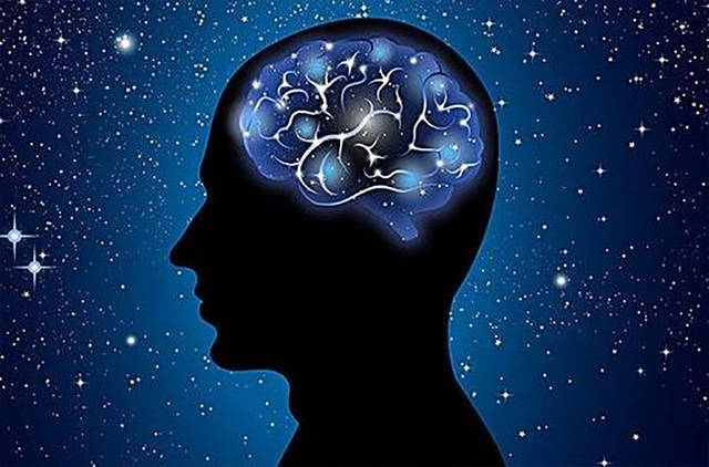 原创人的大脑大约相当于多大内存?