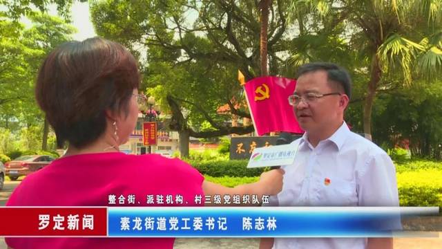 【党建引领】罗定素龙街道:四个"突出"破解基层治理难题