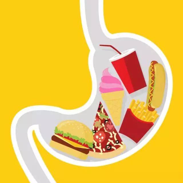 你吃的食物是如何变成便便的呢?