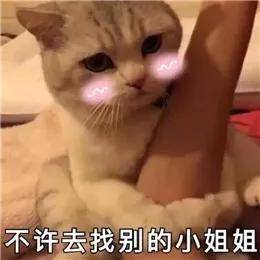 绿茶美眉撩人非常有一套 她们声音甜腻得就像撒娇 在男生眼中完全就
