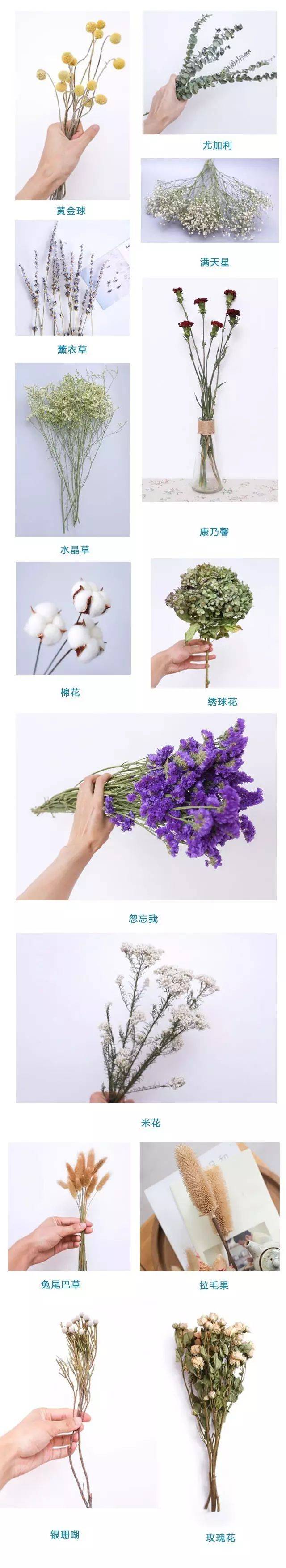 手把手教你做干花,省钱又好看!