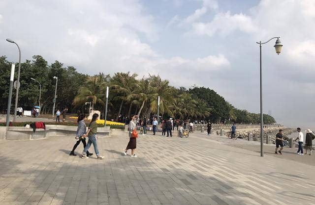 深圳网红景点,深圳湾公园攻略,一出地铁站就看