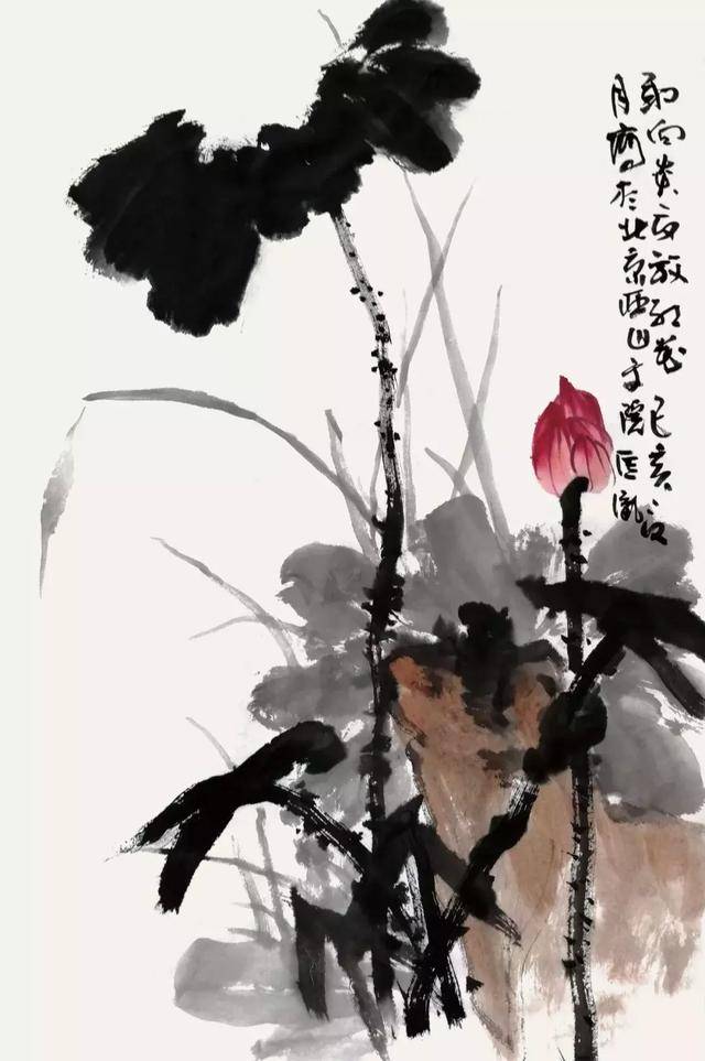 原创「高清步骤图详解」写意荷花小品画法示范 转发收藏了