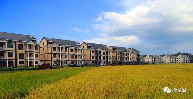 9月施行!龙游县农村宅基地及住房确权登记发证