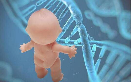 试管婴儿长大后的弊端有哪方面?