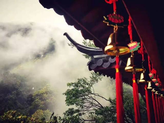 拜佛参禅∣8.28-9.