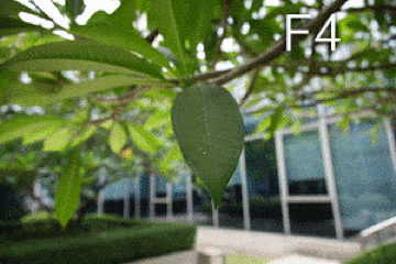 暗角方面的表现,广角端在f8光圈后有所改善,f11后基本消失,建议使用