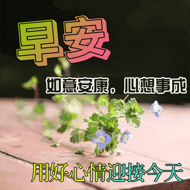 周三早上好问候语和关心句子 2019早上好图片表情大全