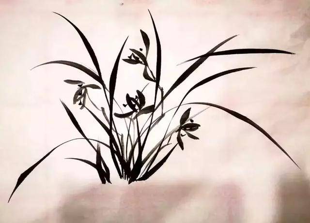 著名画家安君康写意兰草第一期学员作品欣赏!第二期开始招生了