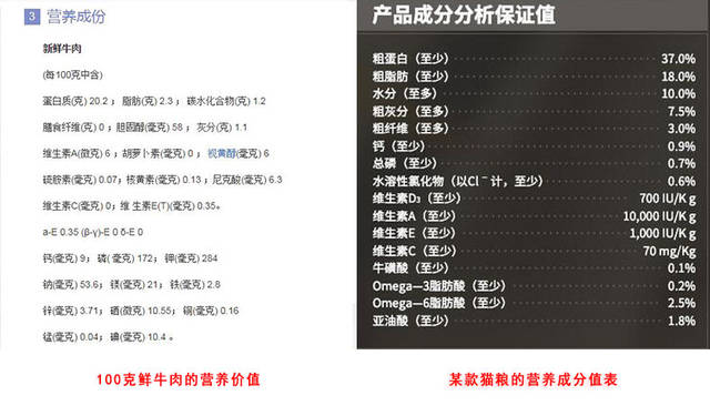 质,脂肪,碳水化合物,各类维生素,钾,钙,磷等等,牛肉营养丰富是事实,但