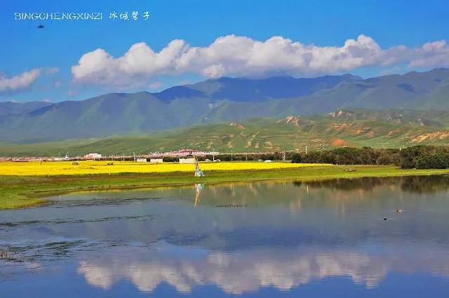 遇见甘南夏河:清爽的桑科湿地,富丽的拉卜楞寺