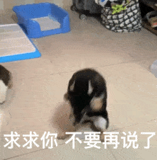熊猫头表情包 | 当舔狗你最积极