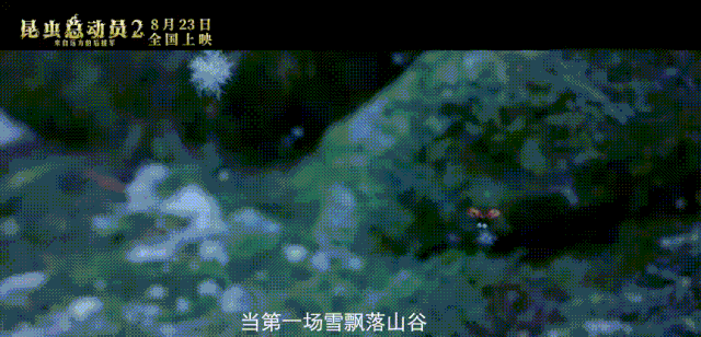 《昆虫总动员》的受众, 全面覆盖所有人.