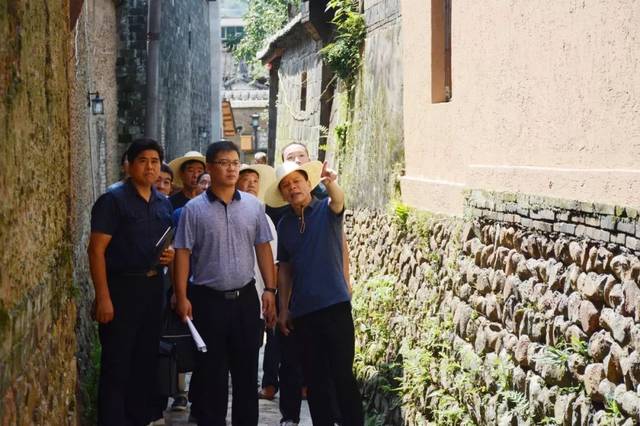 8月20日,县长党帅深入杉洋镇,卓洋乡,调研古村修复保护工作.