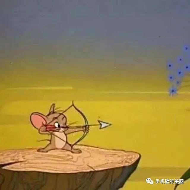 抖音超火头像情侣,猫和老鼠头像大全