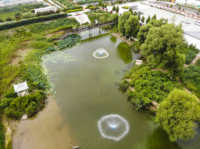 河北饶阳乡村废弃坑塘变身绿水花园