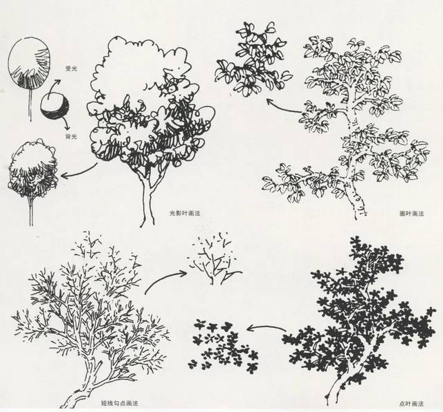 超级干货丨风景速写局部之树木与石头的刻画
