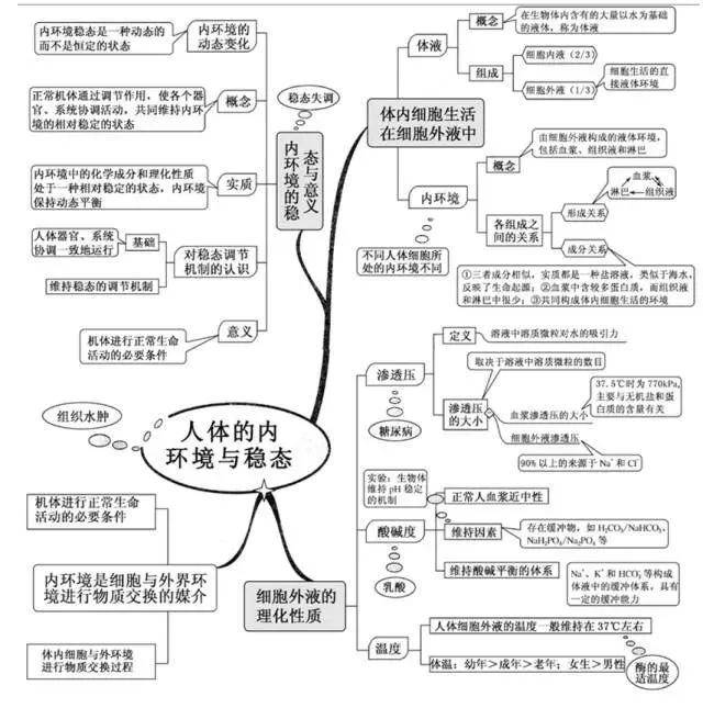 人体的内环境与稳态