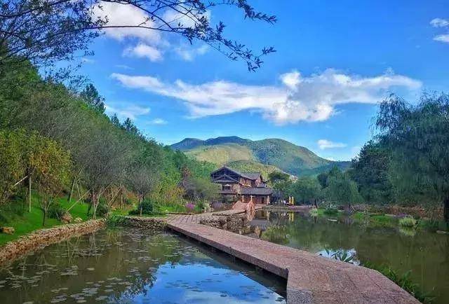 我国与发达国家森林康养各有什么特点?