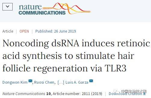 激光嫩肤、祛斑除皱.背后的工作原理:dsRNA