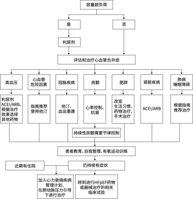 图1.射血分数保留心衰治疗流程图