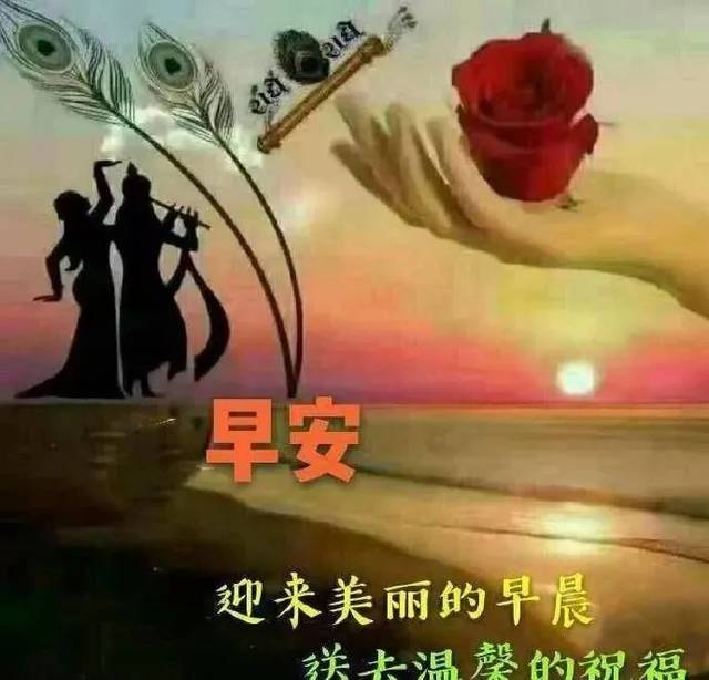 最新的唯美暖心早上好问候语录,早安祝福语短信图片表情带字