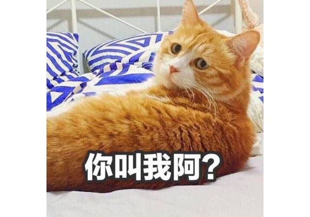 睡一觉醒来就"失声"?喵星人为什么突然嗓子哑了?