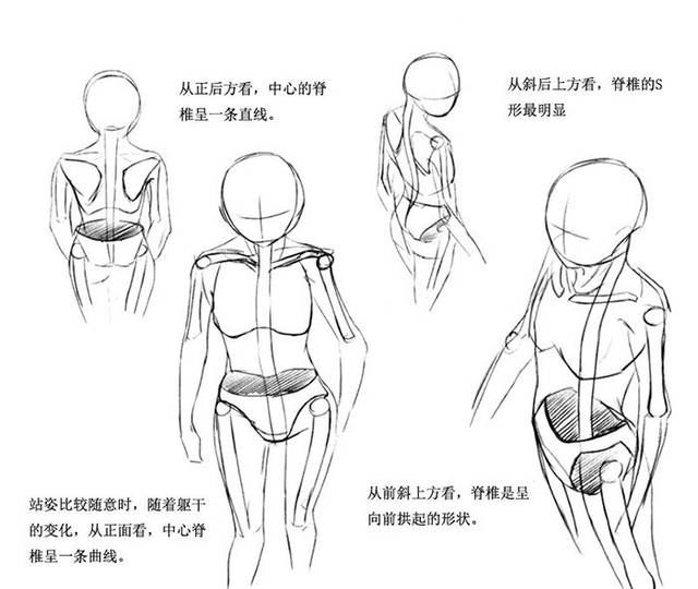 动漫人体画法步骤教程!