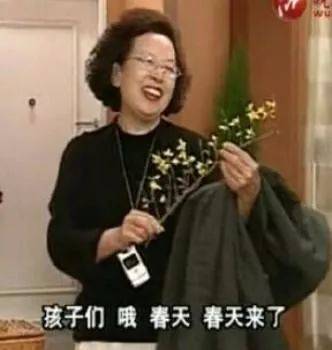 罗文姬奶奶合集表情包