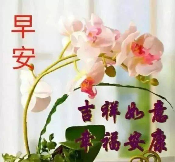 2019大家早上好新版祝福漂亮图片带字 清晨早上好问候