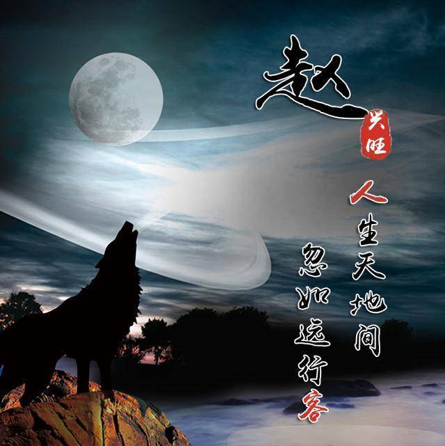 20201微信头像励志,2021比较火的头像微信 励志血性狼姓氏头像,微信头像,送给在困境中坚持梦想的你!