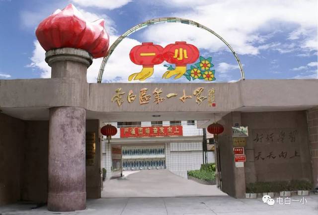 电白城区各小学初中学区服务范围买房必看
