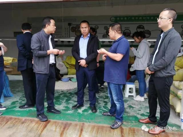 【何坝动态】兰州市城关区副区长曹民一行深入何坝镇调研产业发展工作
