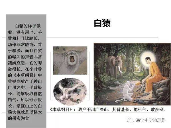 【地理视野】不正经解读魔幻地理《山海经》4——南次一经神兽列传