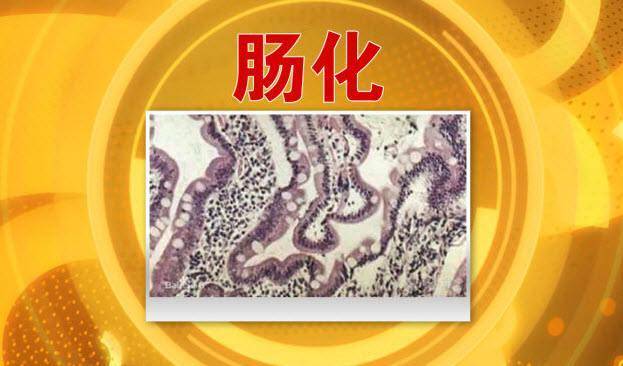 什么是不典型增生和肠化?哪一个更易癌变?