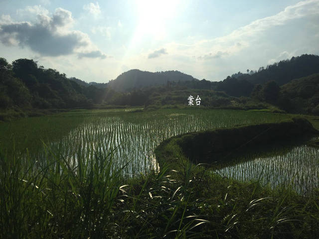 如何学会看风水,找到风水宝地?风水大师现场寻
